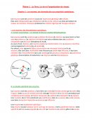 Cours sur les enzymes, des biomolécules aux propriétés catalytiques