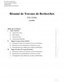 Résumé de Travaux de Recherches