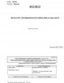 Epreuve E41 : Développement de la relation client et vente conseil