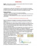 Comment grâce à l’architecture, les plus grandes salles d’écoute sont capables d’offrir une acoustique irréprochable ?