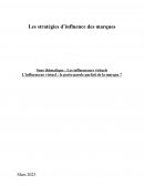 L’influenceur virtuel : le porte-parole parfait de la marque ?