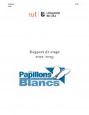 Rapport de stage Papillons Blancs