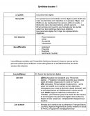 Synthèse de politique sociale