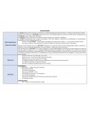 Projet de soins