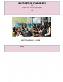 Rapport de stage SEGPA
