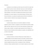 Grandes périodes de l'historie de l'architecture