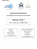 Rapport de stage école maternelle