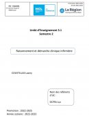 Analyse de situation stage infirmier EHPAD prise en charge de la douleur