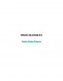 Projet de stage : Relais Petite Enfance