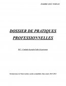 Dossier de pratique professionnelle