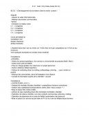 Compétence E41 BTS MCO