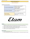 ETAM et l'omnicanalité