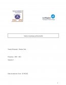 Analyse de pratique professionnelle ESI