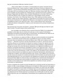 Que peut concrètement l’ONU pour maintenir la paix ?