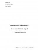 Analyse de pratique professionnelle