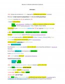 Fiche de révision : l'unification allemande et italienne