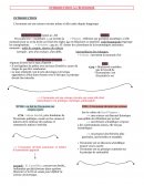 Fiche sur l'introduction à l'économie