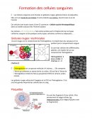 Cellules souches hématopoïétiques