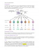 Exposé Immunologie IL-22