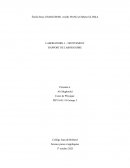 Frottement statique et synétique