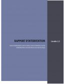 Rapport d'intervention SMQ