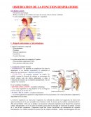 Observation de la fonction respiratoire