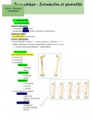 Traumatologie - introduction et généralités