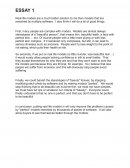 Essay on models