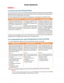 Gestion opérationelle