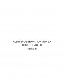 Audit d'observation sur la toilette au lit (module 8)