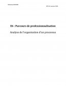 E6 : Parcours de professionnalisation