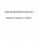 Posture-professionnalisantes-DC1-S1