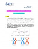 Transmission, Variation and Expression of Genetic Heritage