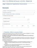 Aide à la réalisation du dossier écrit (E6) – Rapport de stage - Analyse de l’organisation d’un processus