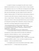 Plan de commetaire composé sur "le nègre de surinam"