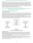 Fragilités des démocraties totalitarisme et seconde guerre mondial (1929-1945)