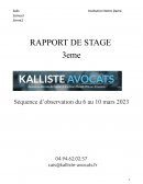 Rapport de Stage en Cabinet d'avocat