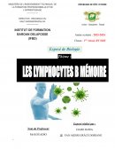 Exposé de biologie, les lymphosites B