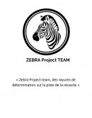 Zebra Project Team