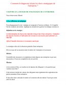 Comment le diagnostic éclaire-t-il les choix stratégiques de l'entreprise ?