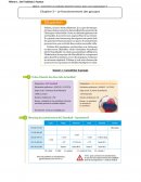 De l’individu à l’acteur : les comportements individuels