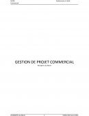 Gestion de projet commercial