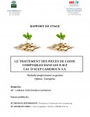 Rapport de stage : le traitement des pièces de caisse comptables dans les E.M.F.