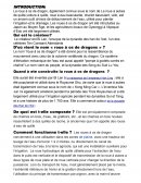 La roue à os de dragon