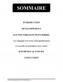 Le pouvoir dans Petit Bodiel