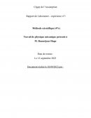 Rapport de Laboratoire Physique