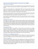 Haut Commissariat des Nations Unies pour les réfugiés