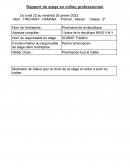 Rapport de stage en pharmacie