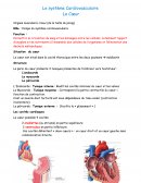 Le système cardio-vasculaire
