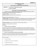 Fiche de situation professionnelle